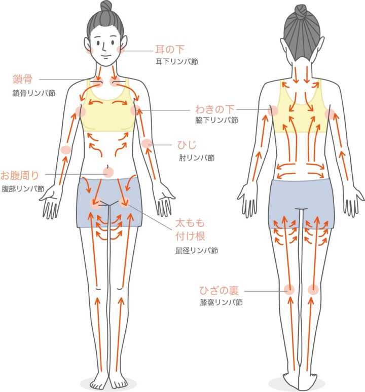 リンパドレナージュの画像